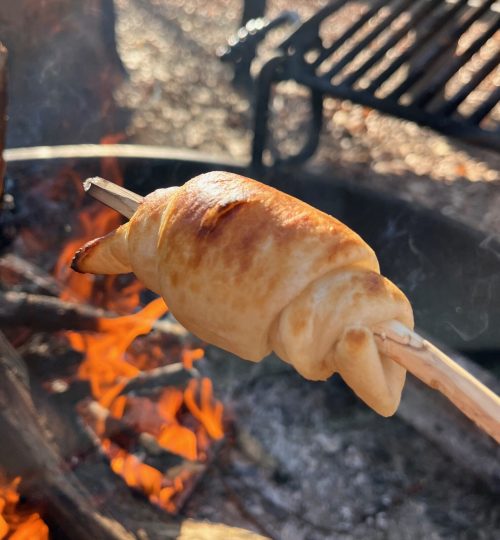 Skoven - Mad på bål 2