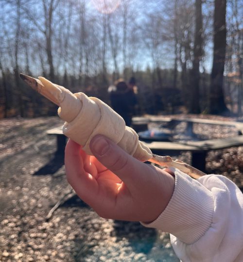 Skoven - Mad på bål