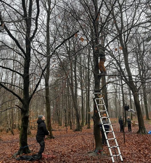 Teambuilding - Træklatring gruppe