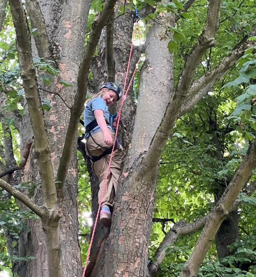 Træklatring Karla Sommer